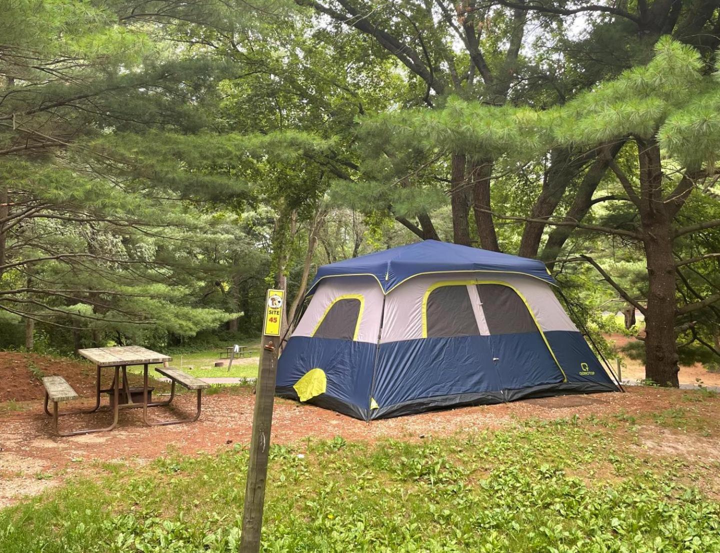 Yogi Bear'S Jellystone Park Camp-Resort Wisconsin Dells Lake Delton Exterior foto